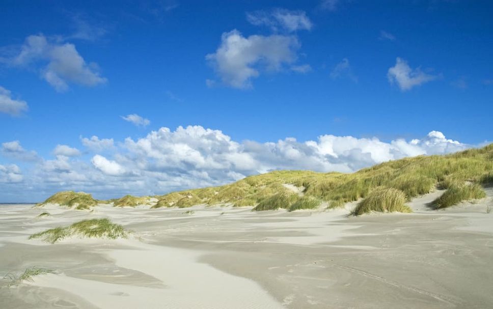 Strand Billede