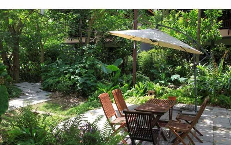 Patio Billede