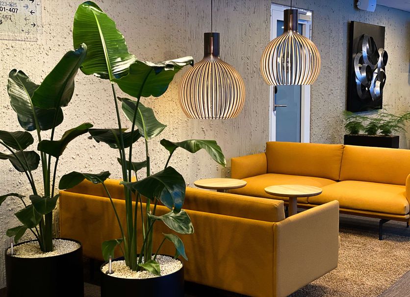 Lounge Billede