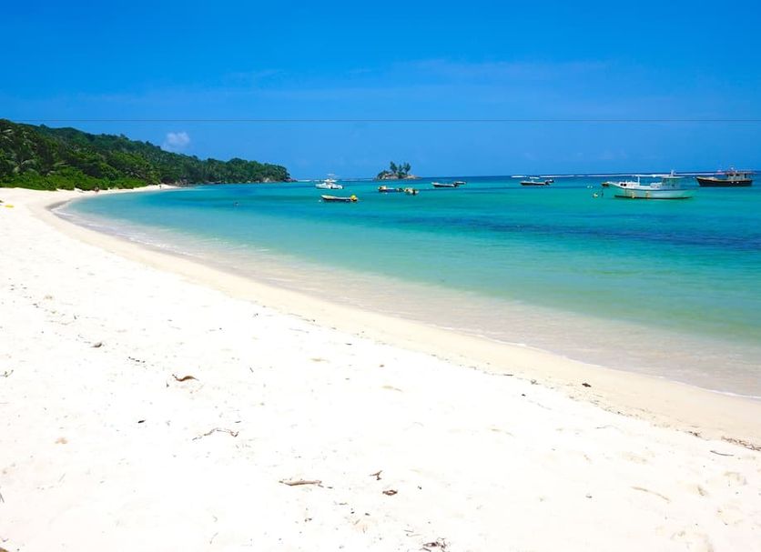 Strand Billede