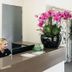 Receptionist