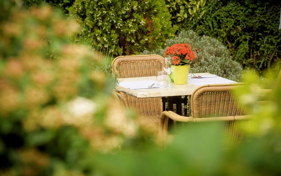 Patio Billede