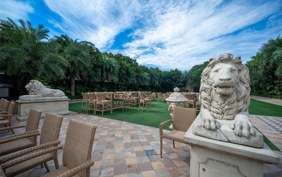 Patio Billede