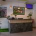 Receptionist