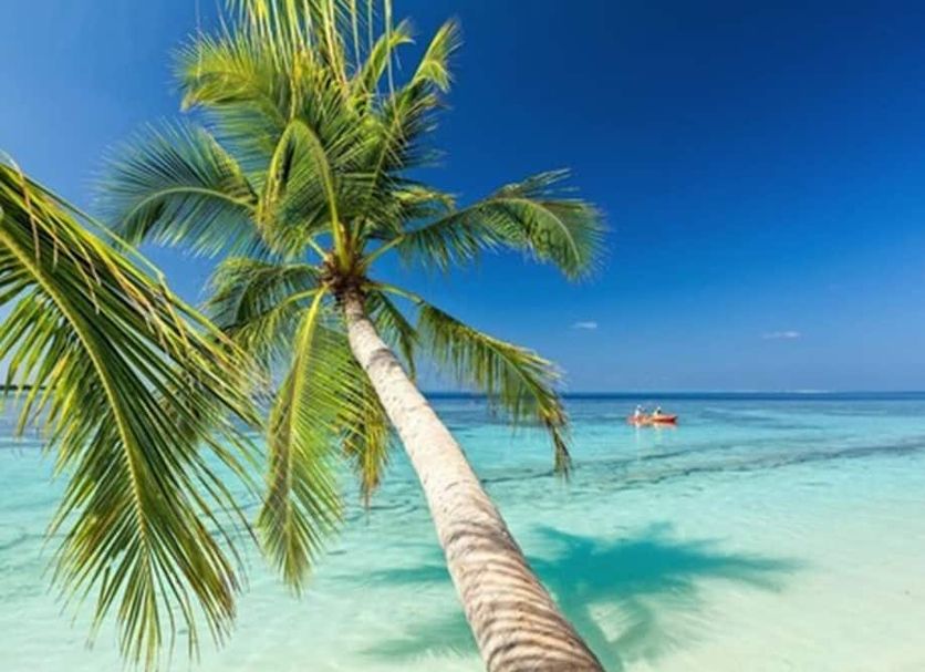 Strand Billede