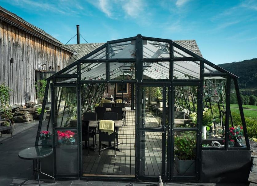 Patio Billede