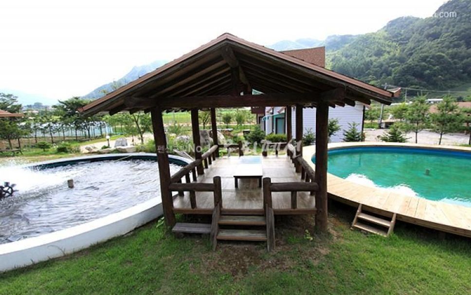 Pool Billede