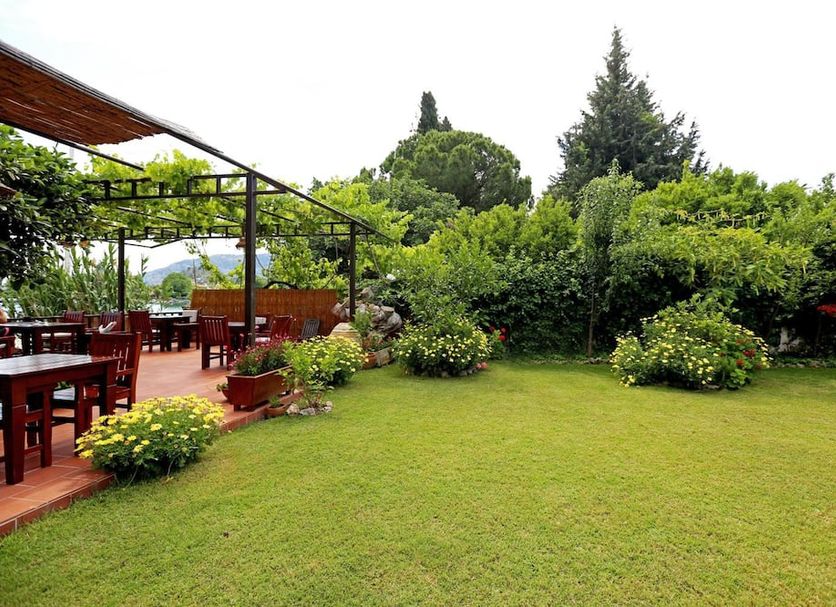 Patio Billede
