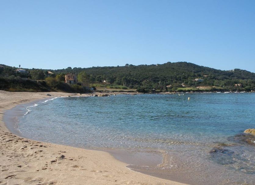 Strand Billede