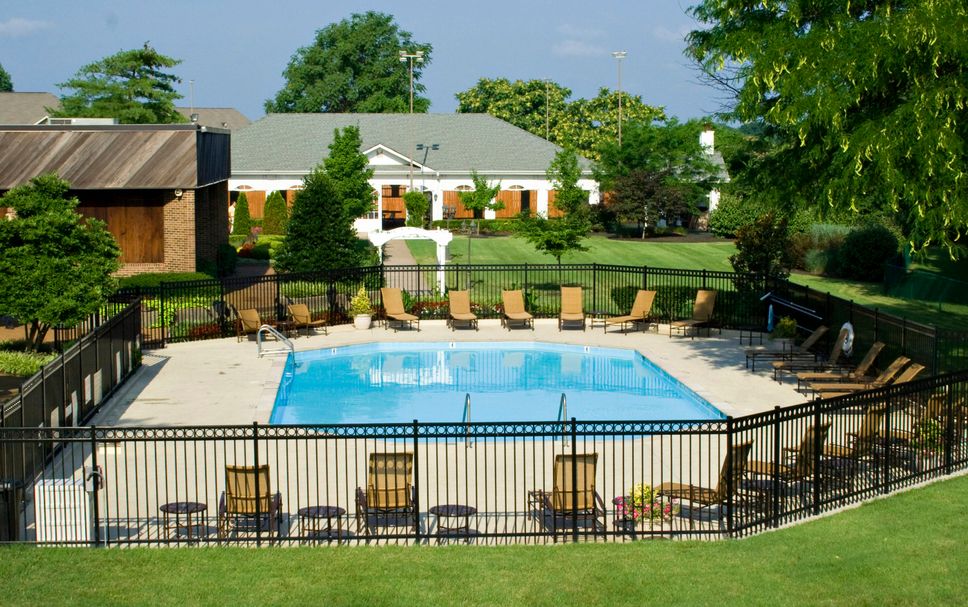 Pool Billede