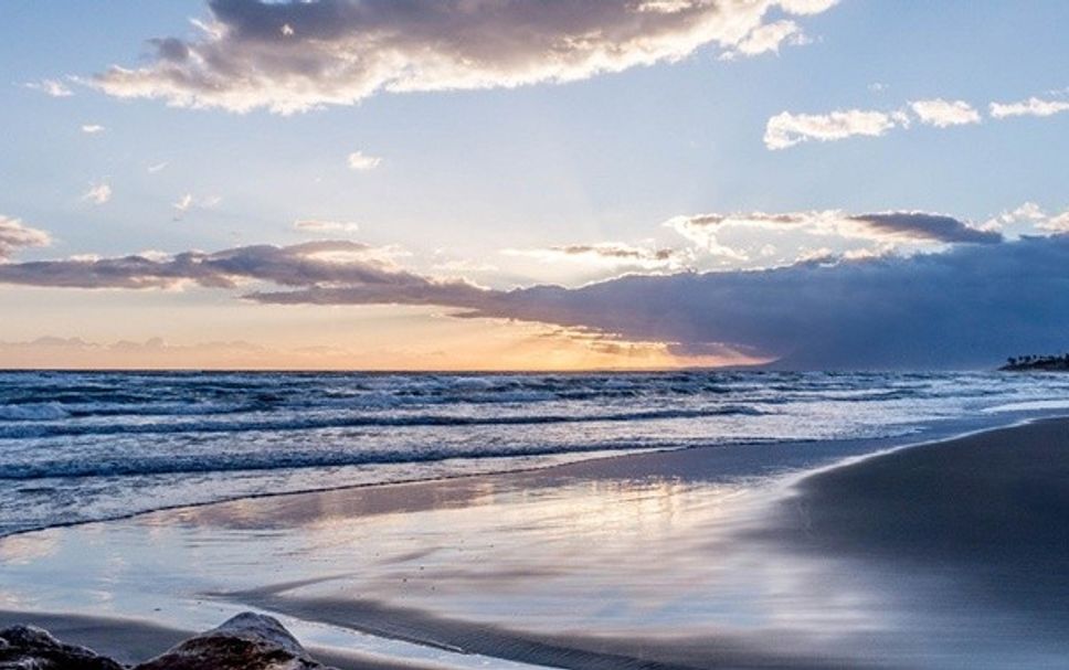 Strand Billede