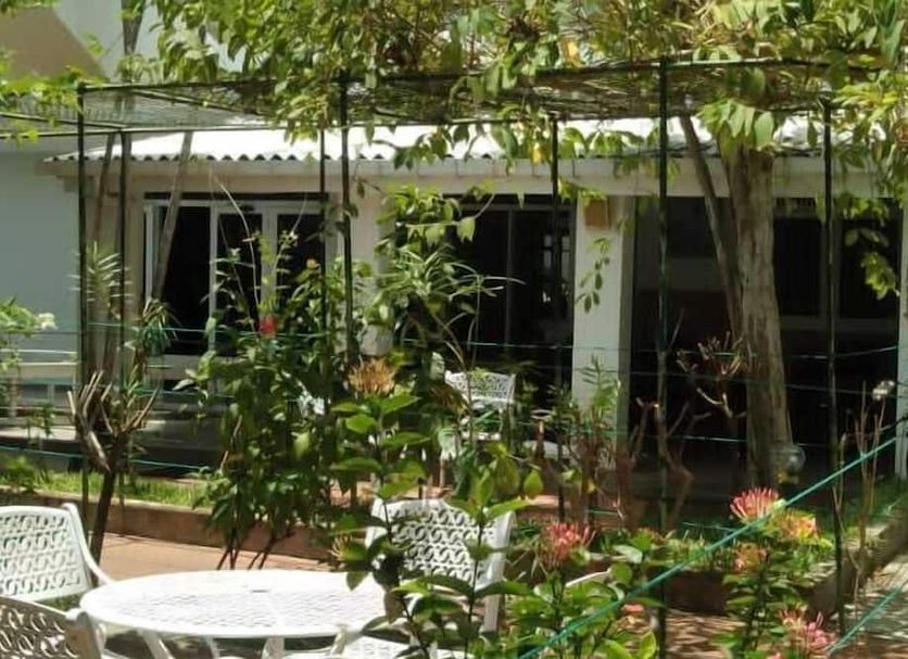 Patio Billede