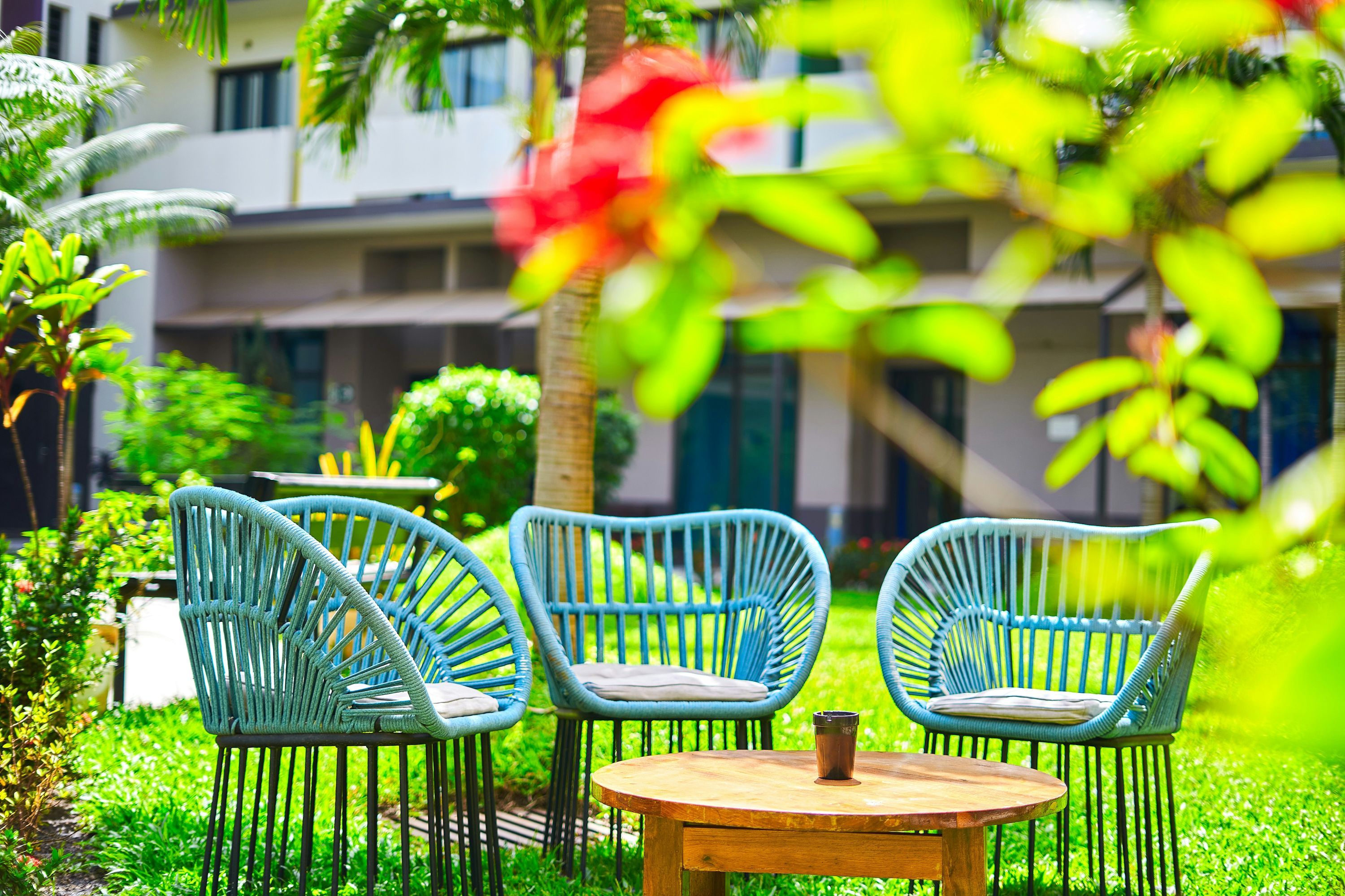 Patio Billede