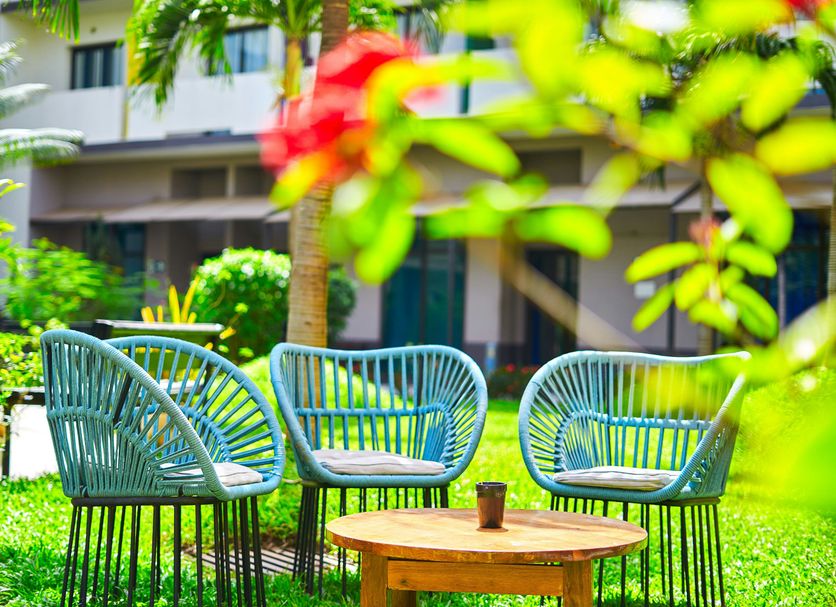 Patio Billede