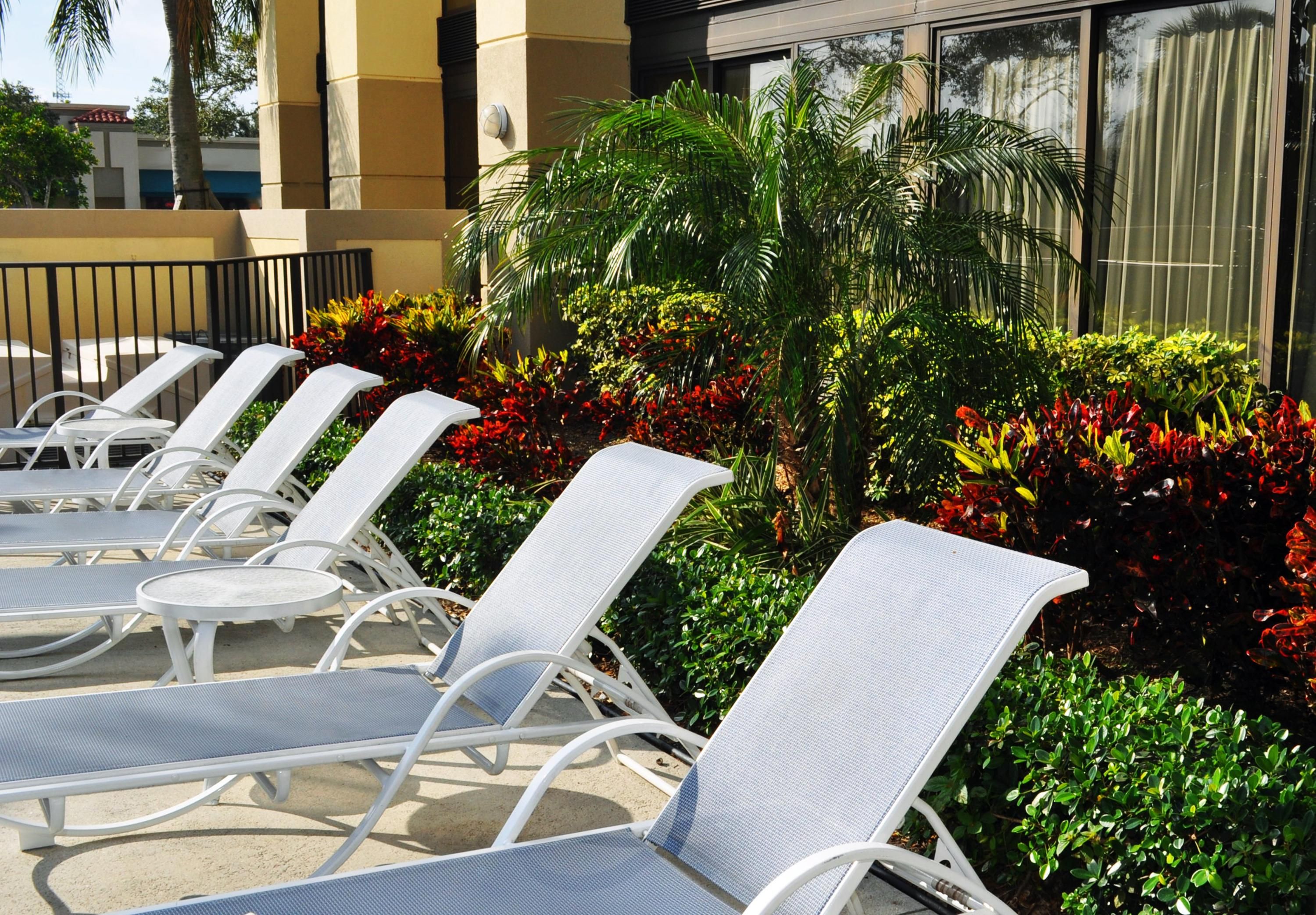 Patio Billede