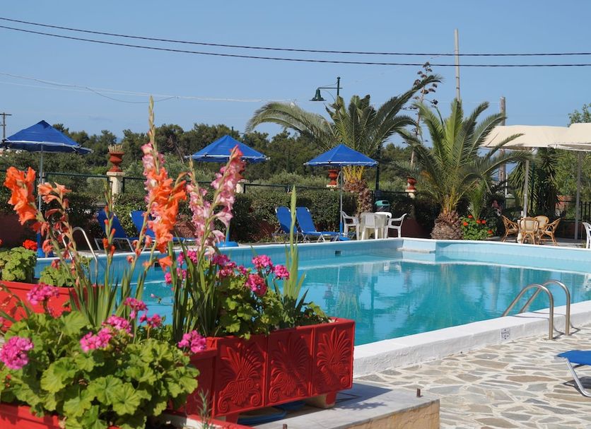 Pool Billede