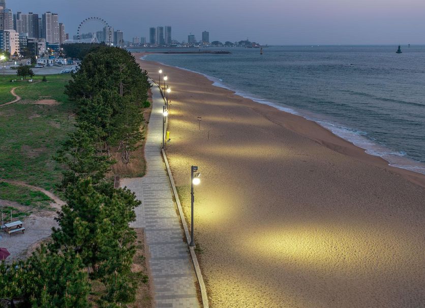 Strand Billede