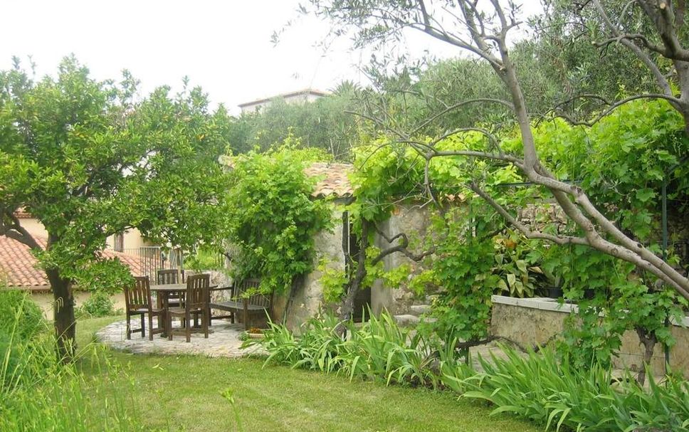 Patio Billede