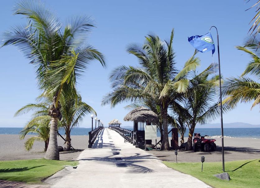 Strand Billede