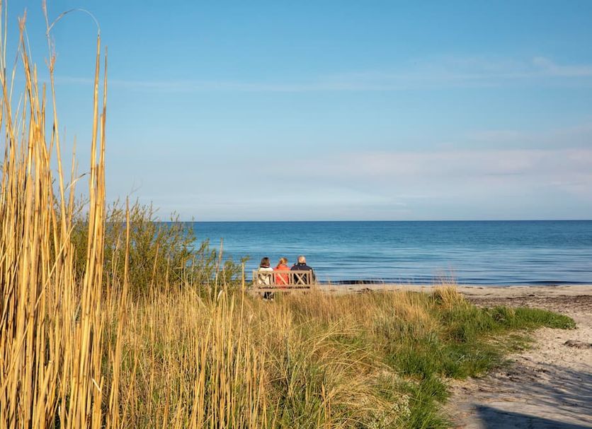 Strand Billede