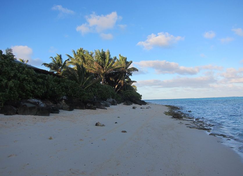 Strand Billede