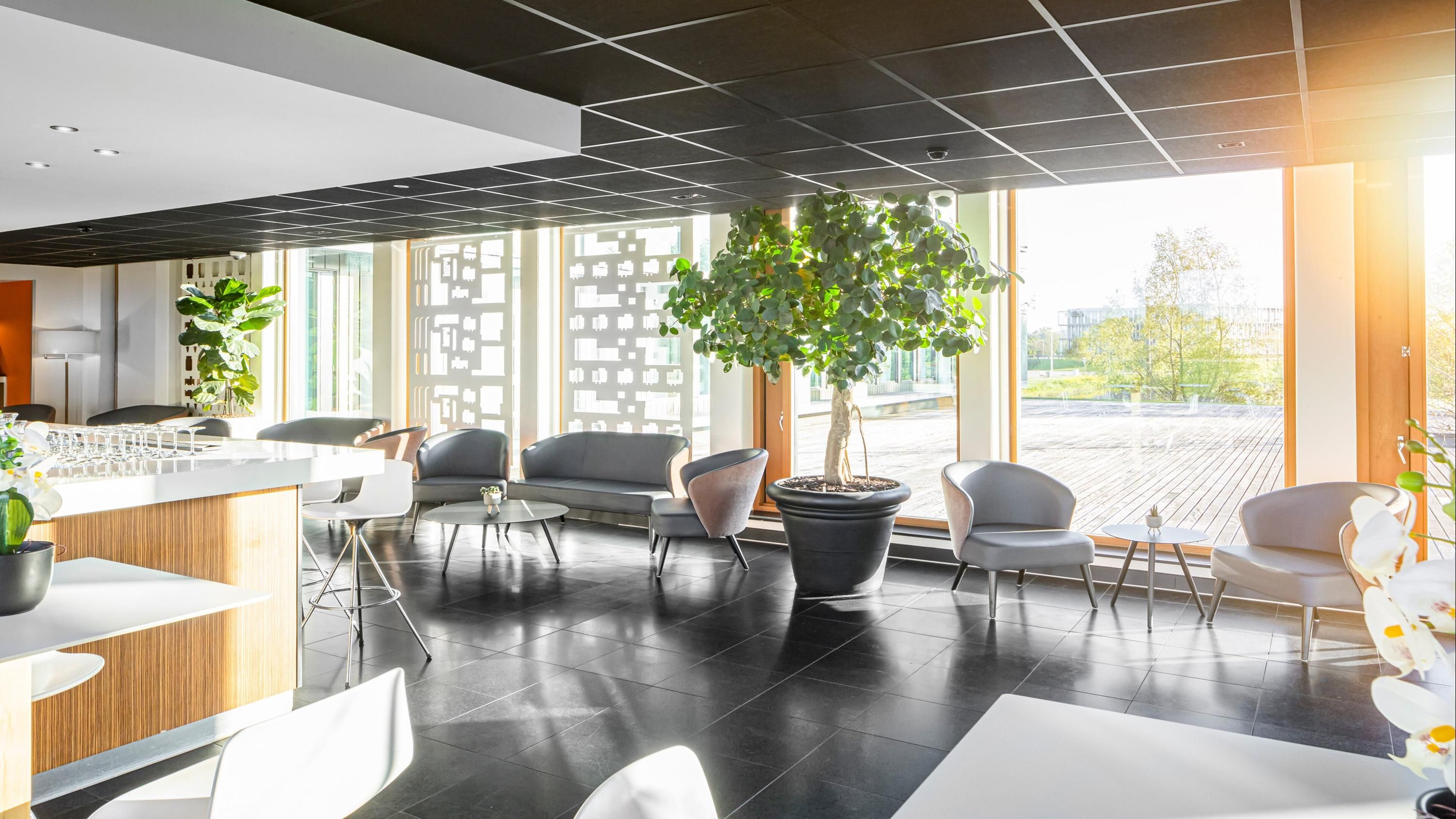 Lounge Billede