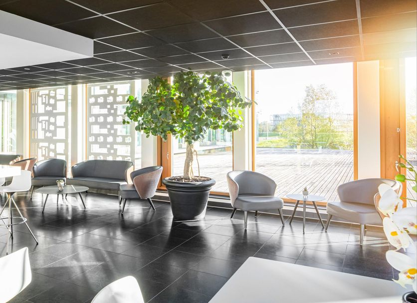 Lounge Billede