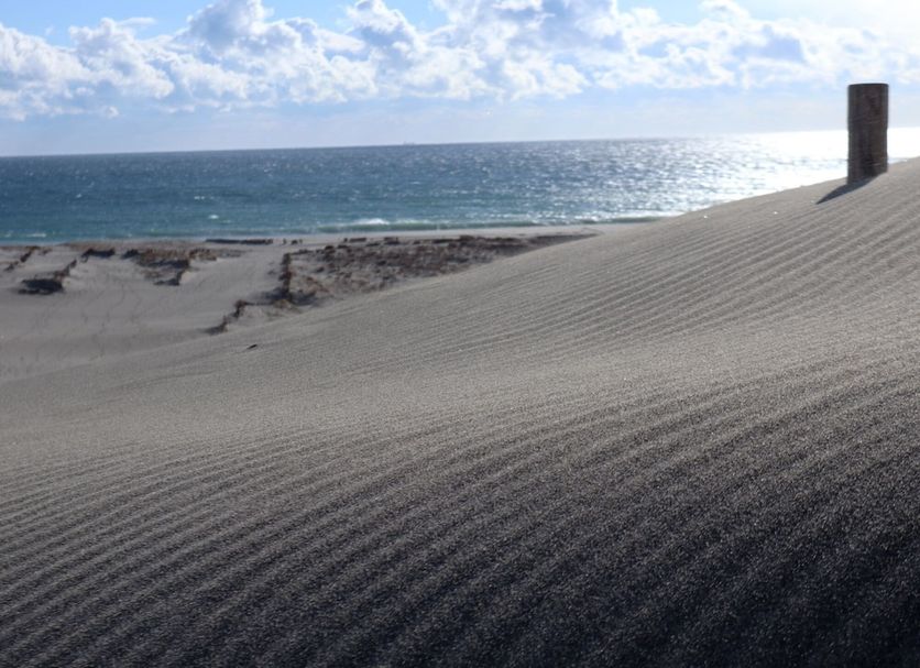 Strand Billede