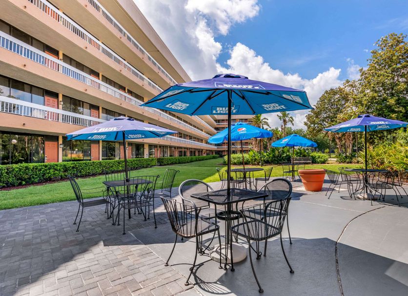 Patio Billede