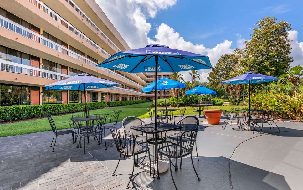 Patio Billede