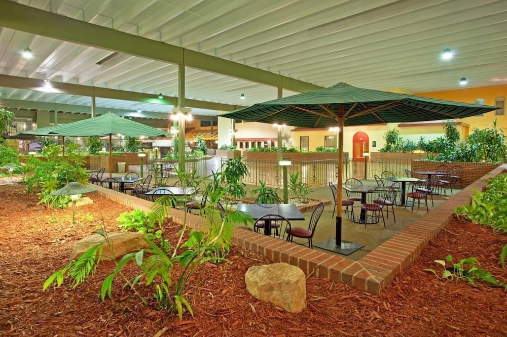 Patio Billede