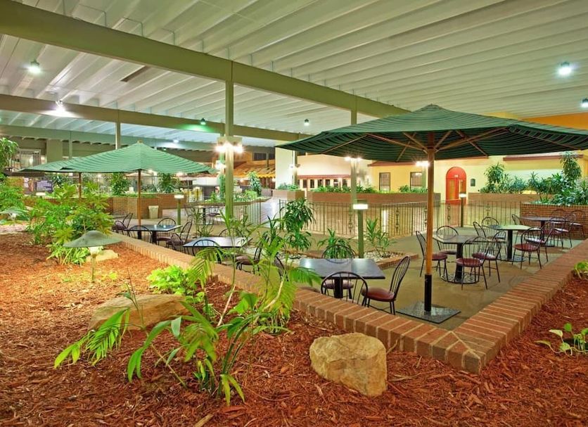 Patio Billede