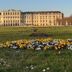 Andet