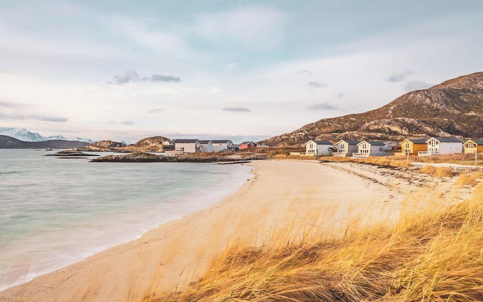Strand Billede