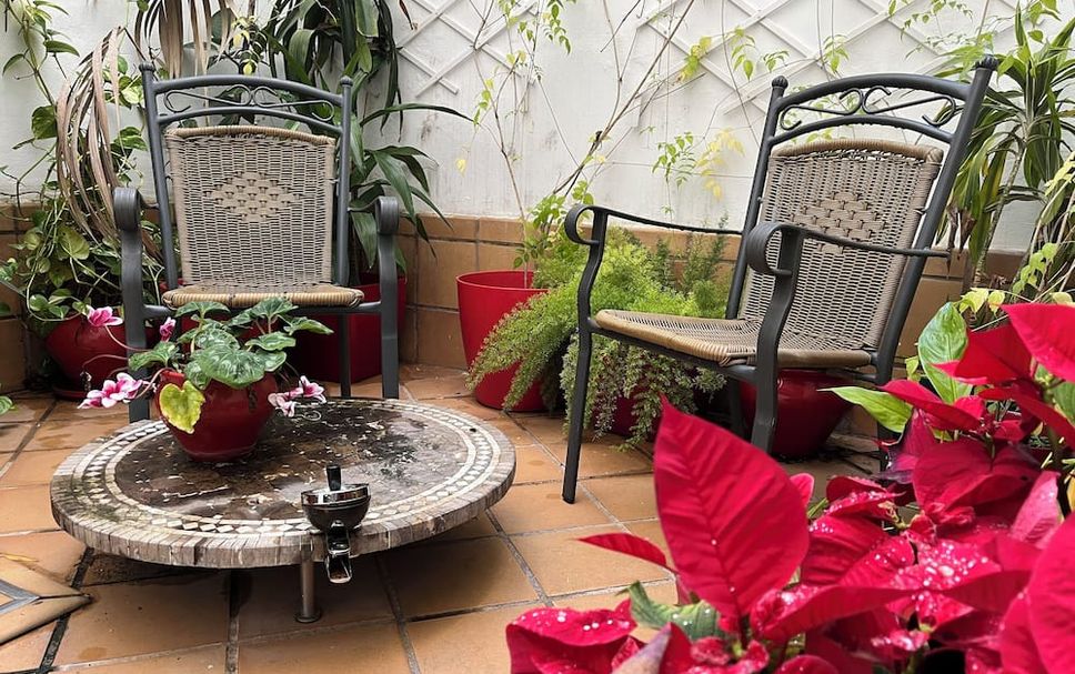 Patio Billede