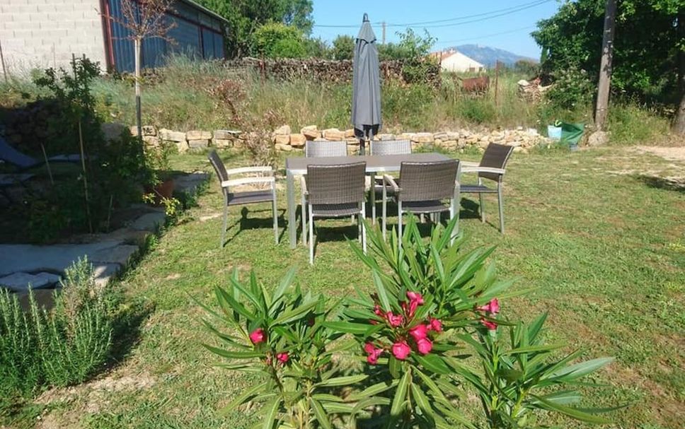 Patio Billede