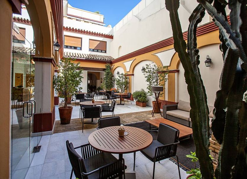 Patio Billede