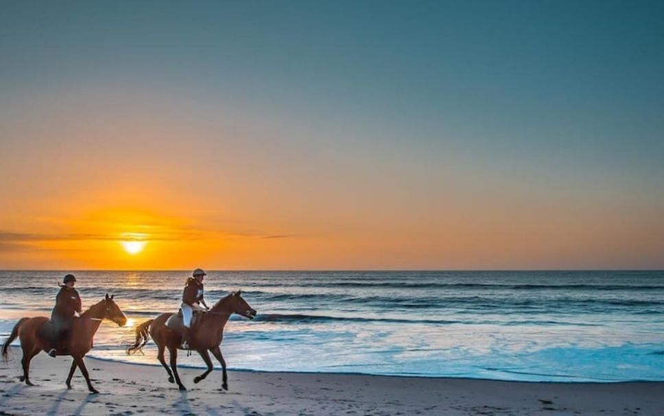 Strand Billede