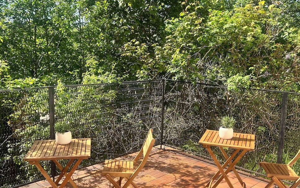 Patio Billede