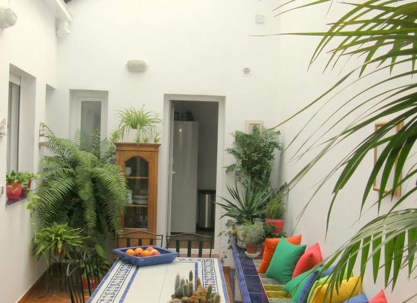 Patio Billede