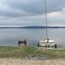 Andet