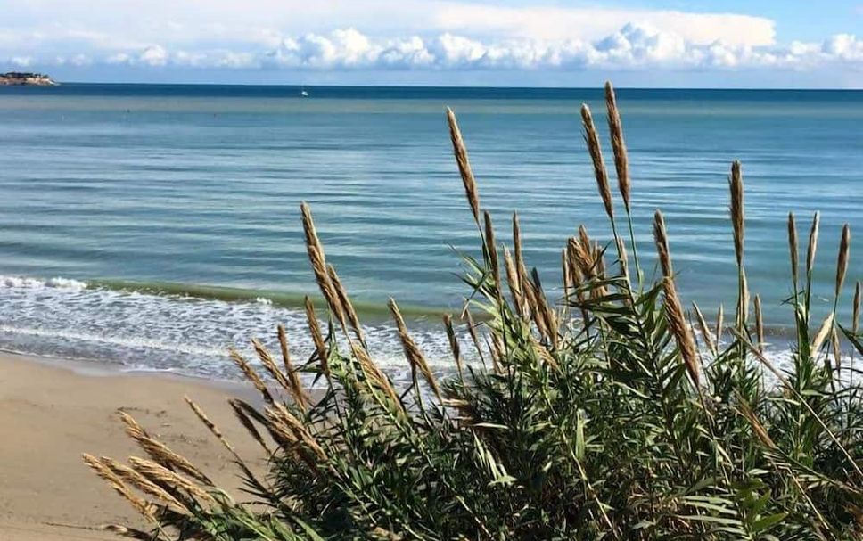 Strand Billede
