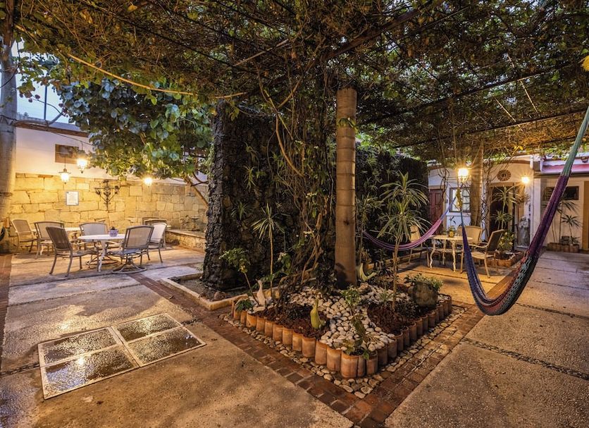 Patio Billede