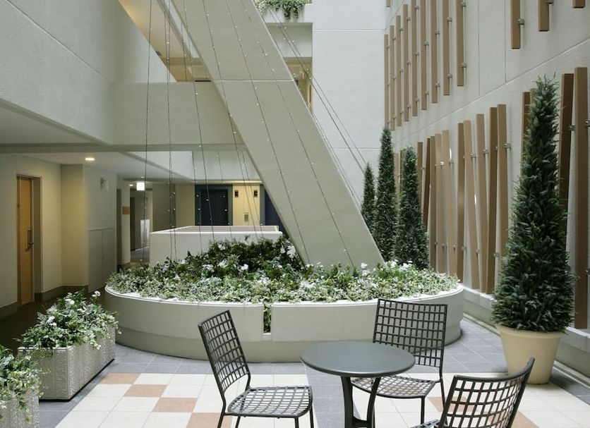 Patio Billede