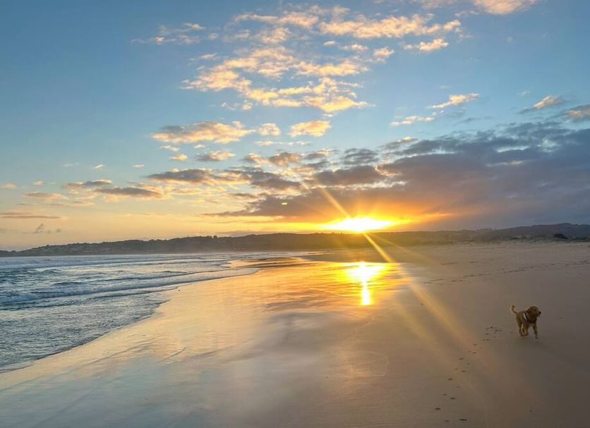 Strand Billede