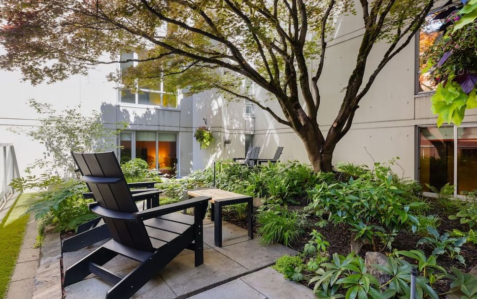 Patio Billede