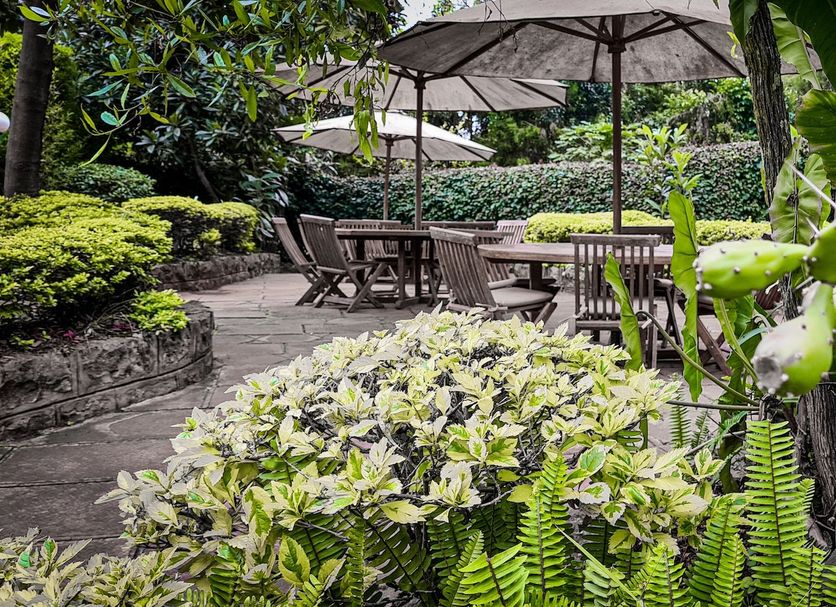 Patio Billede