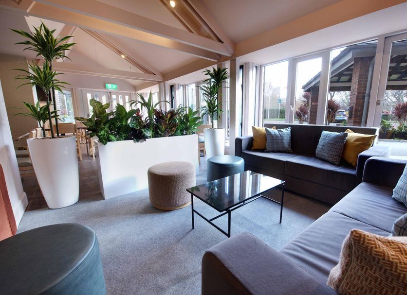 Lounge Billede