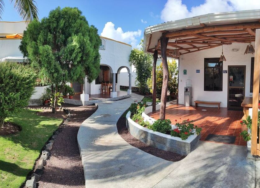 Patio Billede