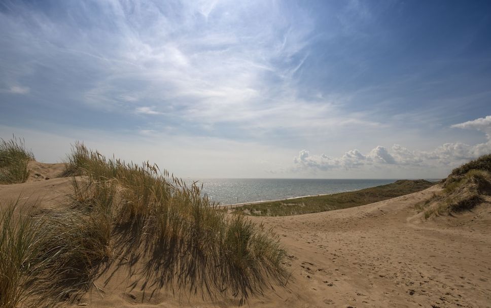 Strand Billede